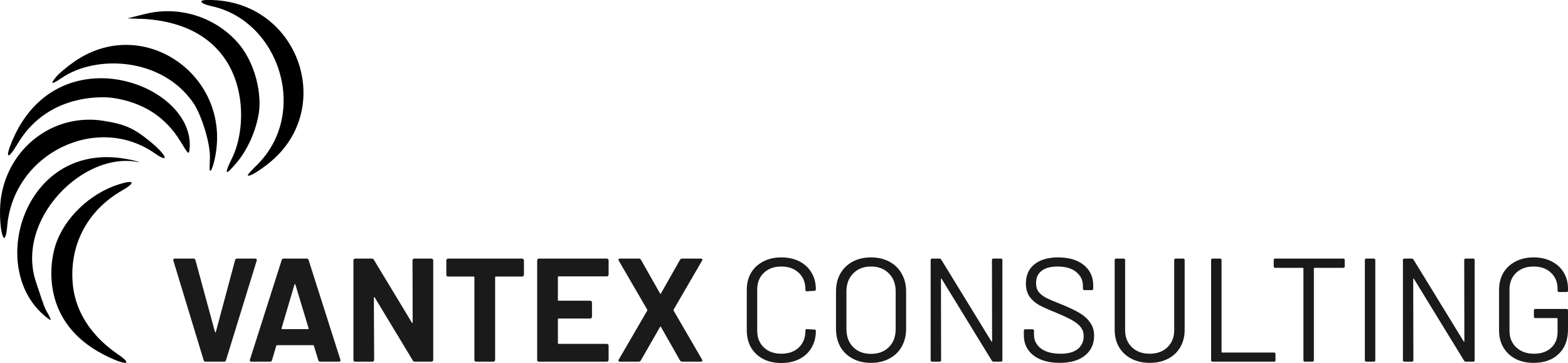Vantex Consulting